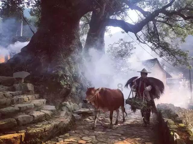 万王之王3D