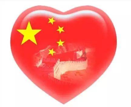 金刚鹦鹉逃生